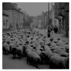 Die Plettenberger Kaiserstraße
