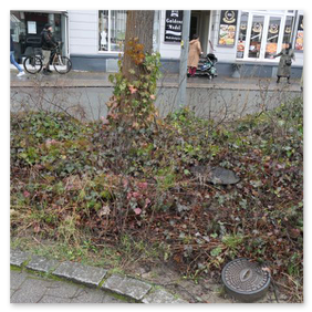 Maiplatz 2026 vor der Neugestaltung