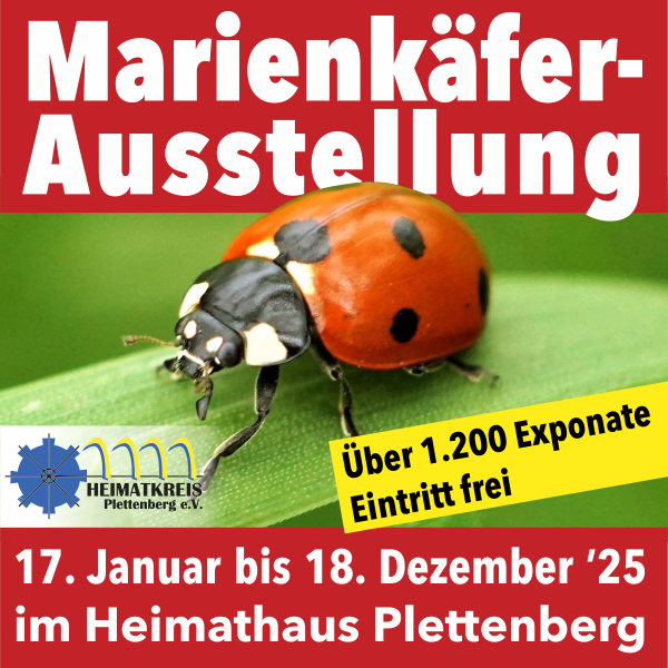 Marienkäferausstellung Marienkäferausstellung