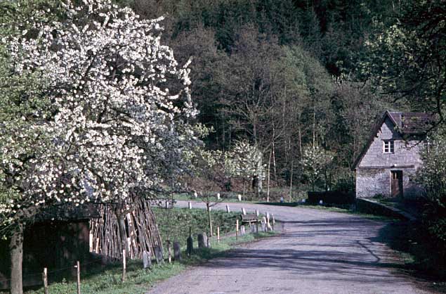 Erkelze