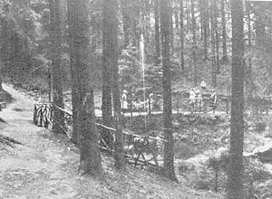 Springbrunnen