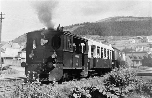Kleinbahn auf dem Weg ins Oestertal