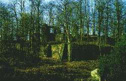 Burgruine Schwarzenberg