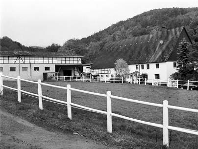 Blick auf das Gestüt